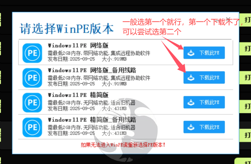 选择 Windows 11 PE 网络版